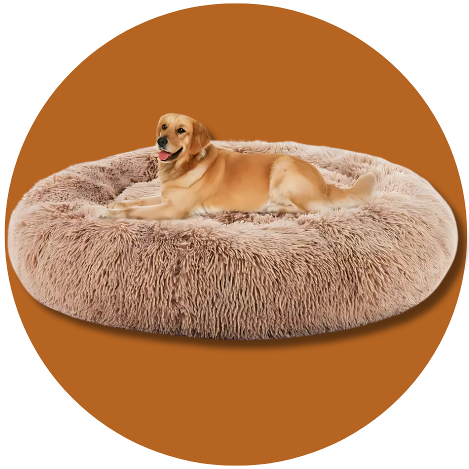 Pet Beds & Bedding